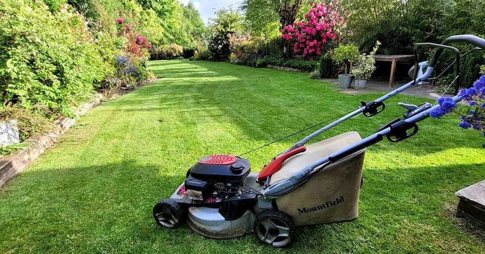 Lawn Stripes, Honda Mower for Grounds Maintenance